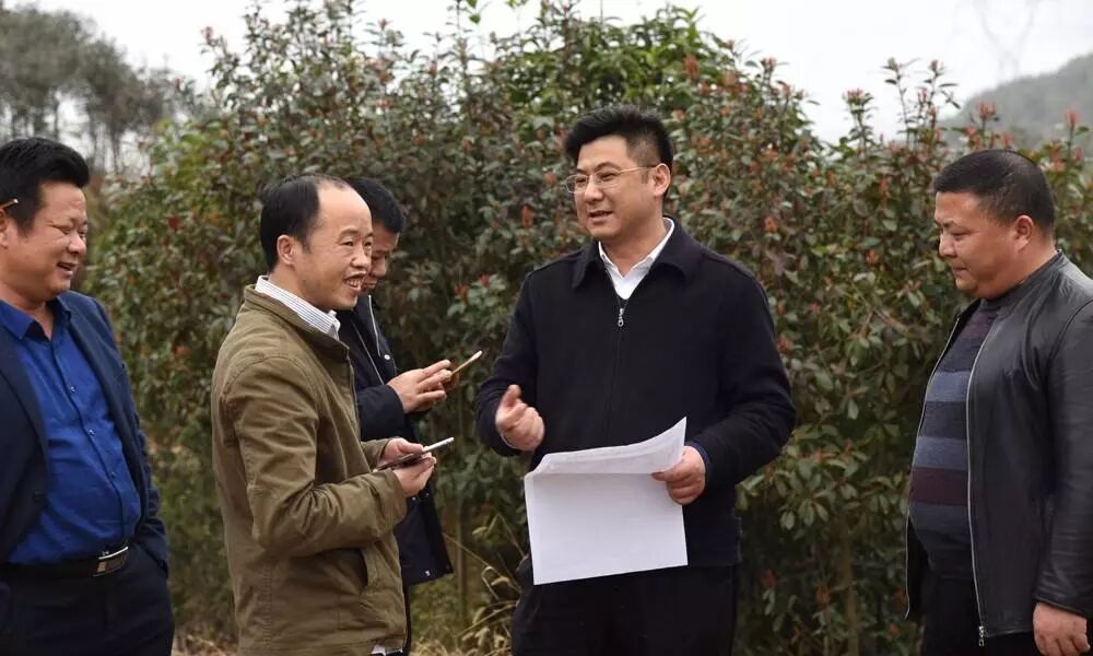 付访华调研云峰森林植物园强调：提进度 出特色 铸精品