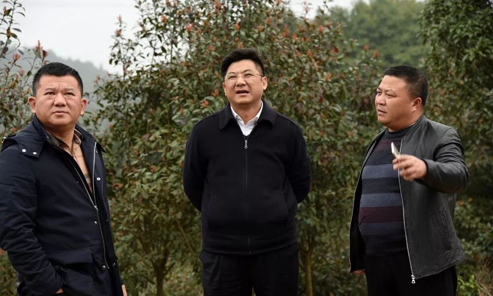 付访华调研云峰森林植物园强调：提进度 出特色 铸精品