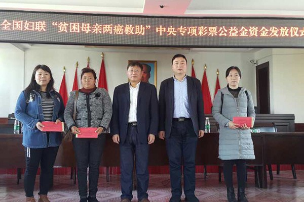 唐晓明、唐军全率帮扶队进点丫江桥镇