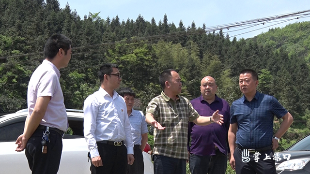 县领导深入镇村指导农业产业结构调整工作