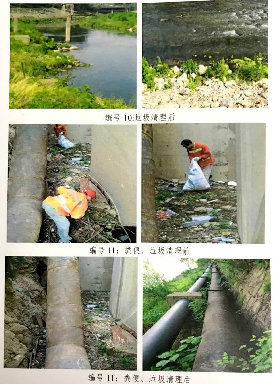 关于龙母河污染,市城管部门这样做