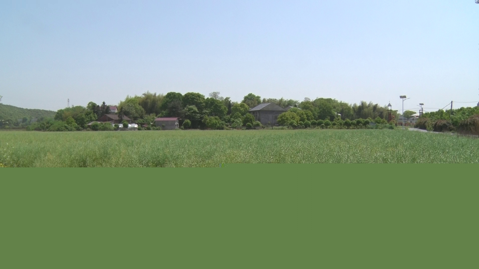 株洲县已落实种植结构调整面积5万多亩