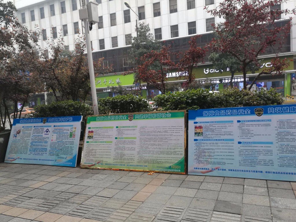 食药监芦淞分局开展全国食品药品投诉举报主题宣传日活动