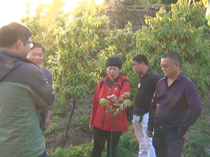 省林业厅外资办来株洲县调研“欧投”项目建设情况