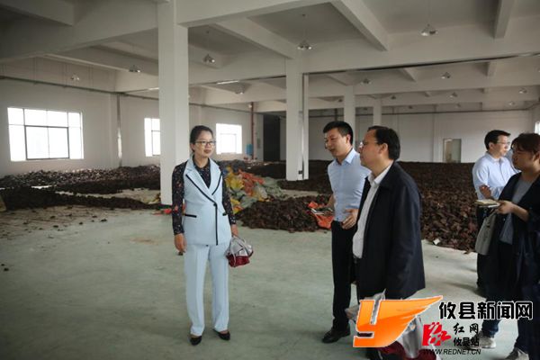 株洲市副市长黄芳来攸调研项目招商落地情况
