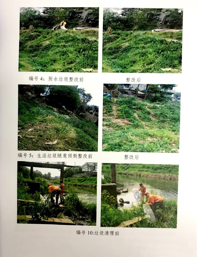 关于龙母河污染,市城管部门这样做