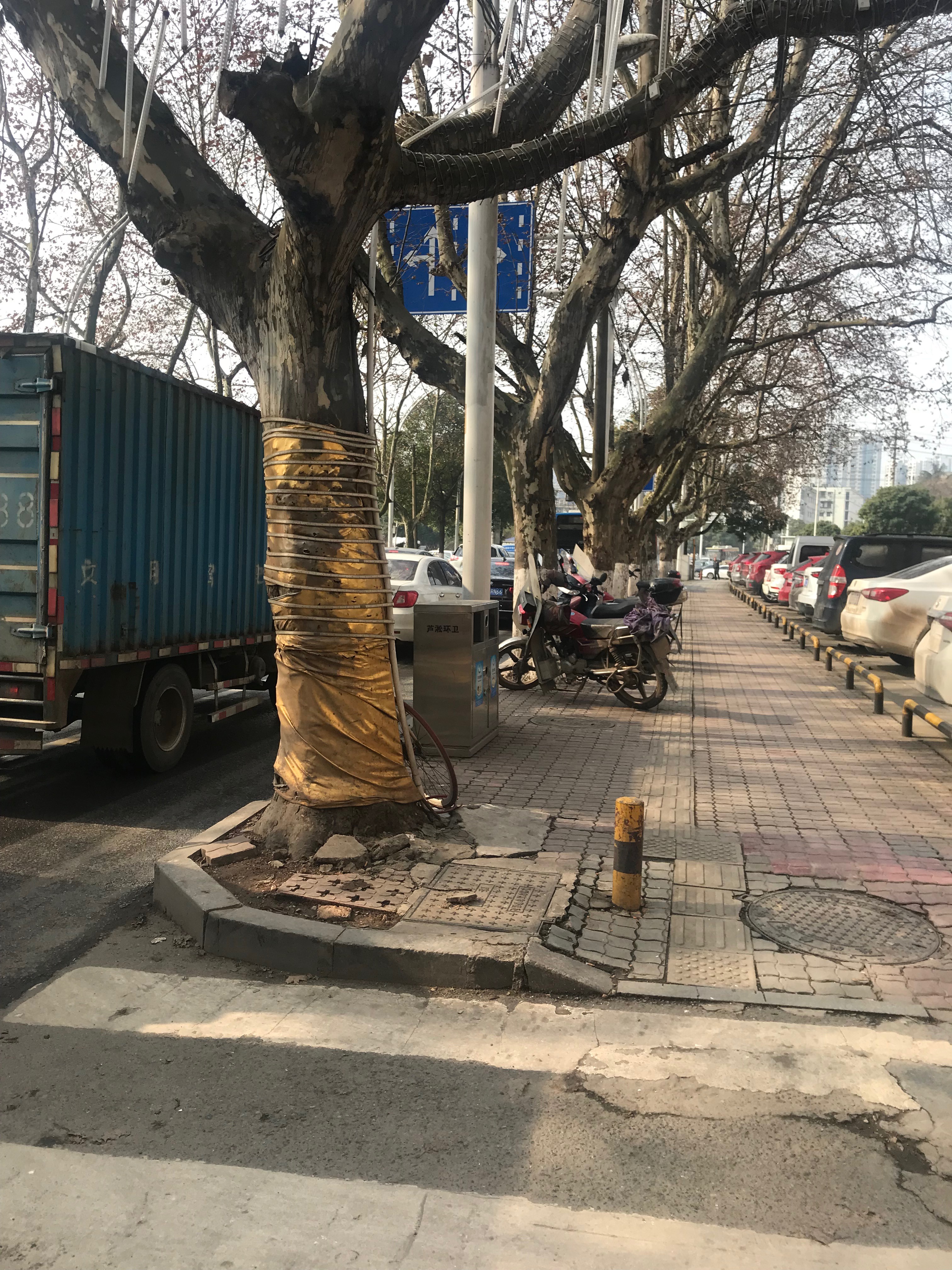 区城建局开展红港路与人民路交叉口拓宽提质改造工程前期摸底工作