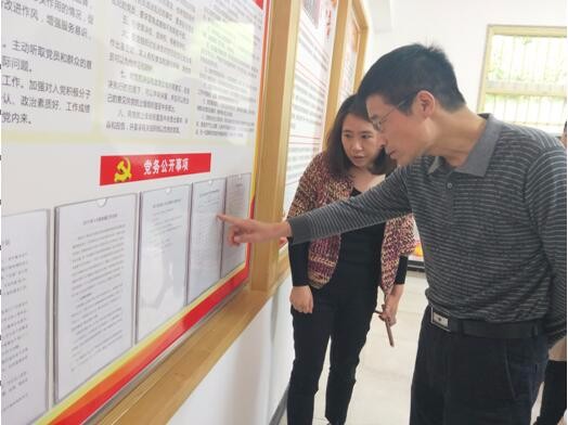 区委常委、组织部长李斌督查调研七斗冲社区离退休示范党支部创建工作