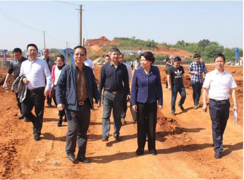 市委常委、政法委书记杨玉芳调研市交发集团农副产品批发交易物流中心项目