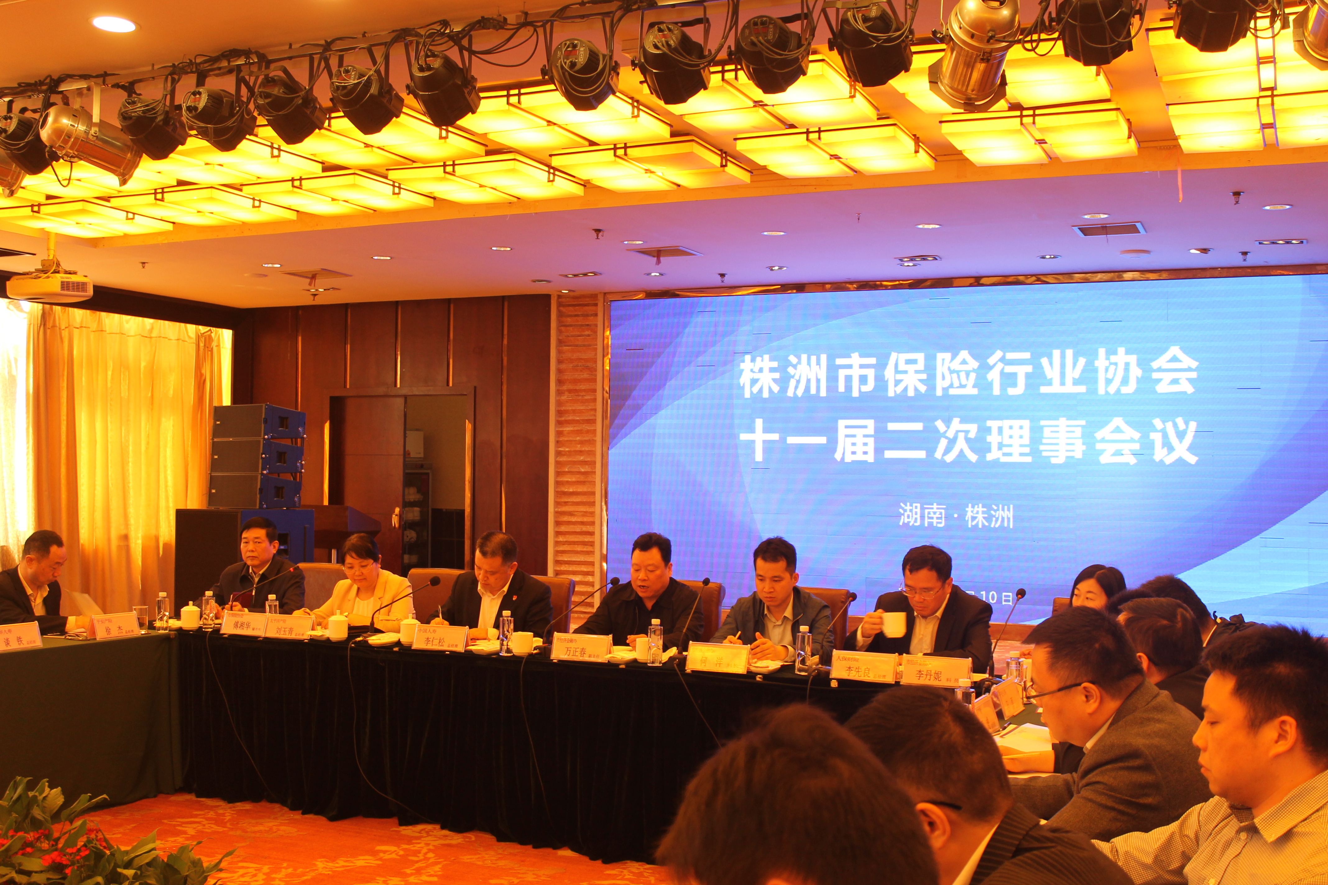 株洲市保险行业协会召开十一届二次理事会议