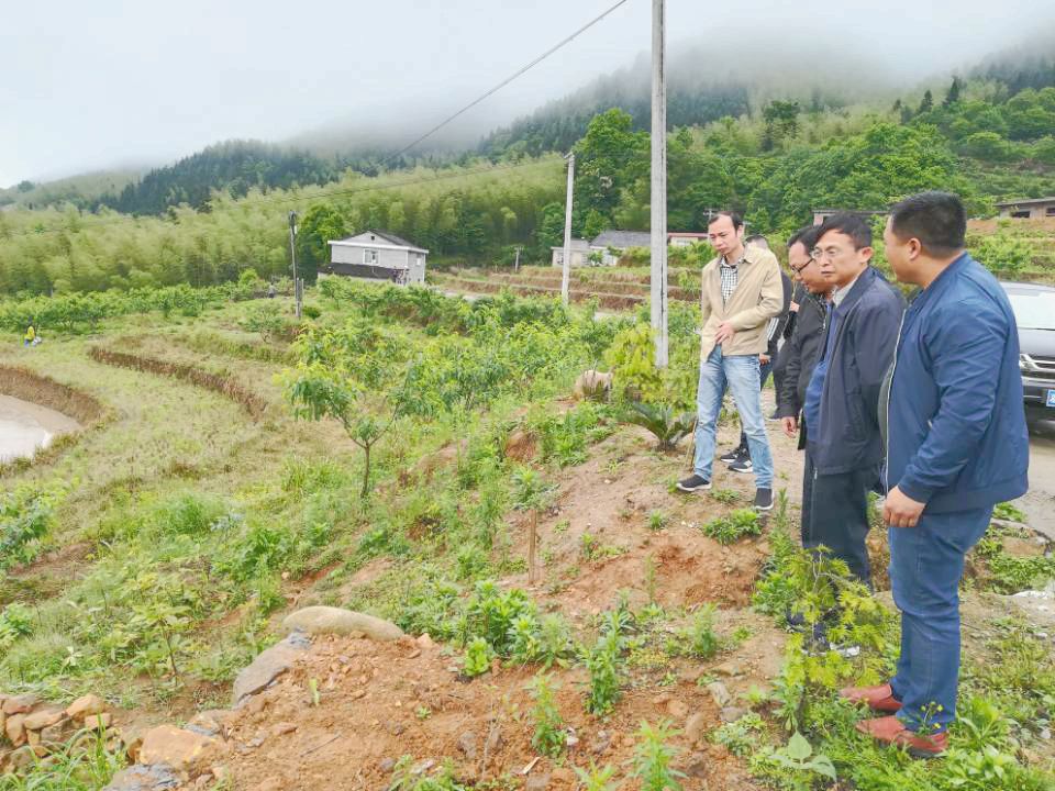 区人大常委会主任肖支前赴炎陵县开展扶贫帮扶活动