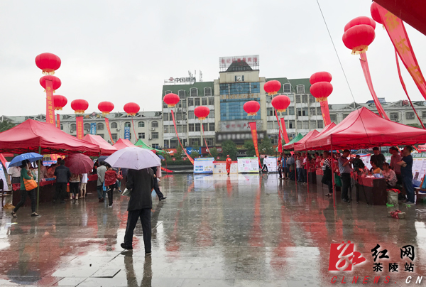 茶陵县举行2018年应急知识宣传周集中宣传活动