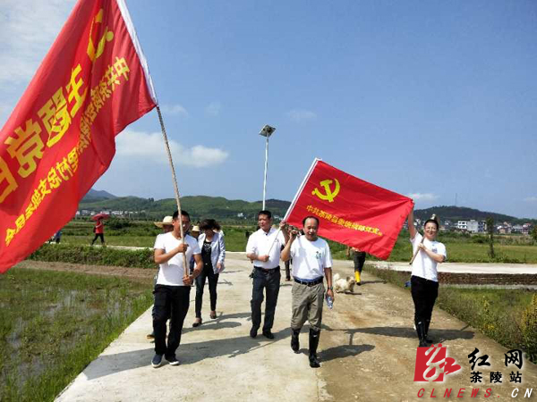 县委统战部机关党支部开展红色主题教育实践活动