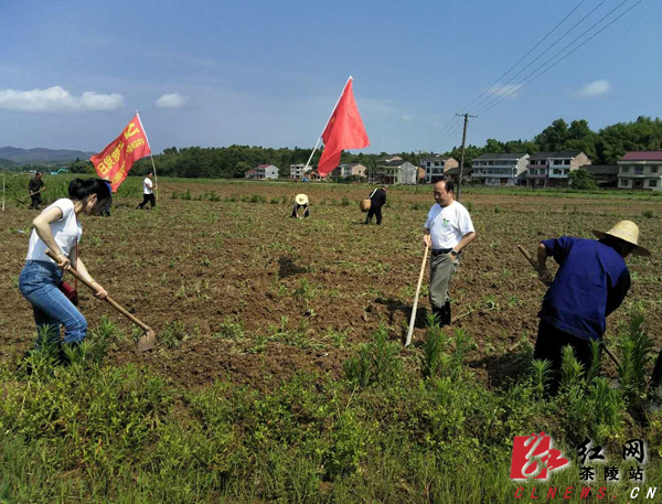 县委统战部机关党支部开展红色主题教育实践活动