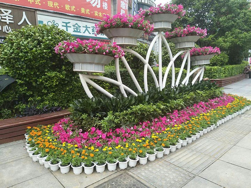 80万盆花 “五一”扮靓株洲街头