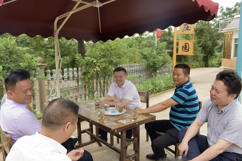 区委书记邬凌云深入基层调研乡村振兴工作