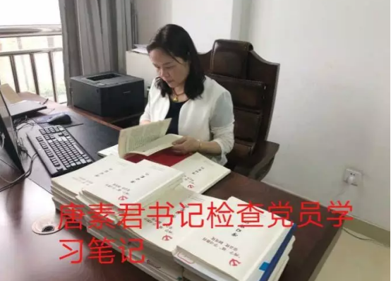 党员示范 家校合力 共促学生发展