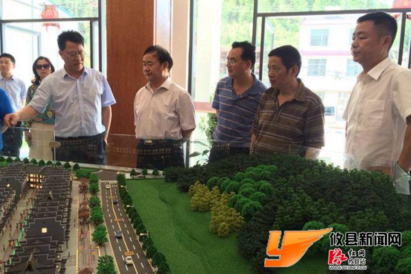 市政协委员专项视察攸县特色城镇建设工作落实情况