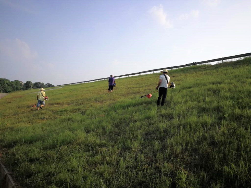 除草护堤利水库 防汛抗洪保安澜