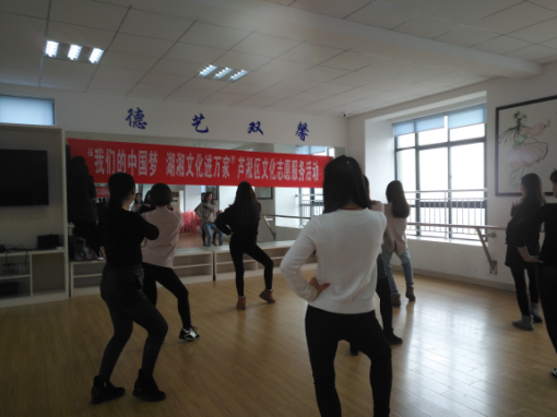 芦淞区文化馆开展文化志愿辅导培训活动