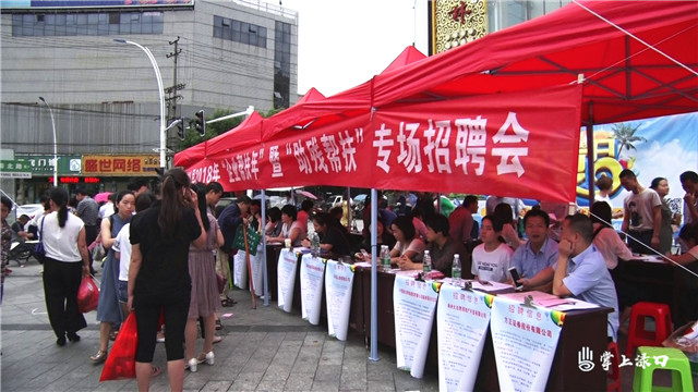 株洲县举办“企业帮扶年”暨“助残帮扶”专场招聘会