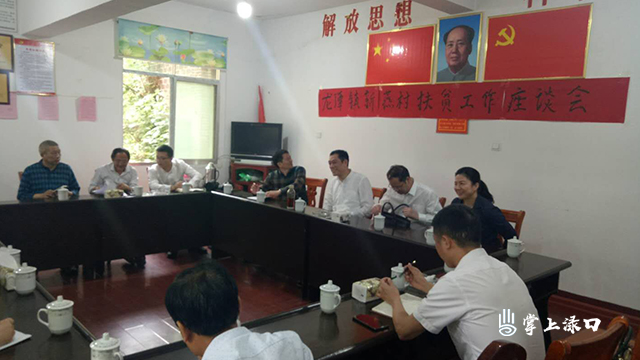 市人大常委会副主任李智一行到龙潭镇调研精准扶贫工作