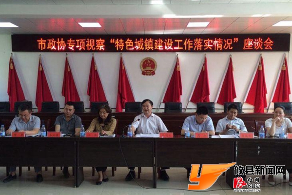 市政协委员专项视察攸县特色城镇建设工作落实情况