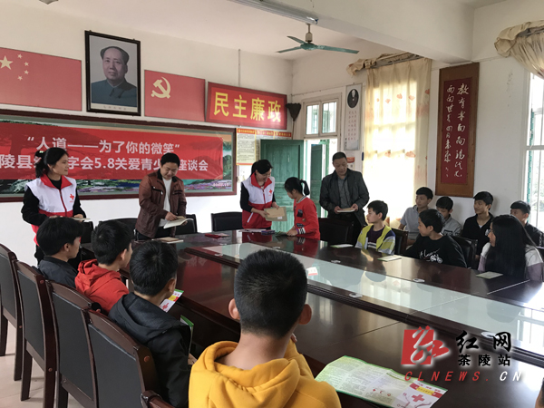 茶陵县红十字会开展5.8纪念日活动