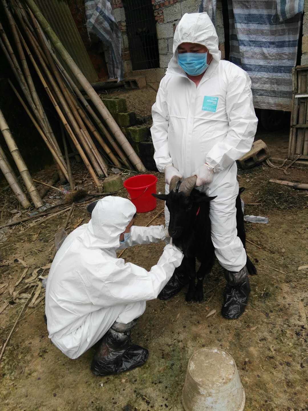 市动物疫病预防控制中心来我区开展春季重大动物疫病免疫评估采样工作