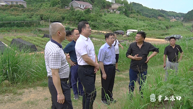 国家林业和草原局督查株洲县造林绿化工作