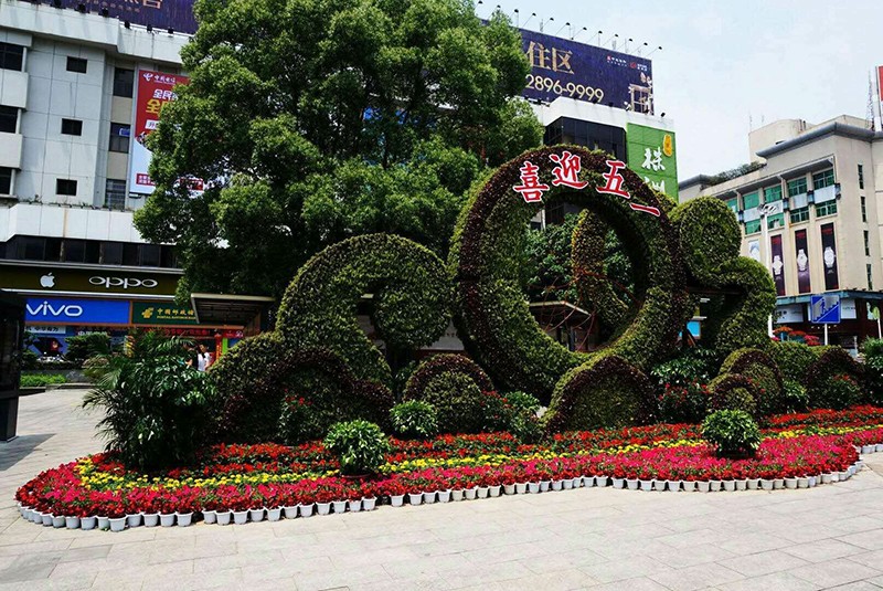 80万盆花 “五一”扮靓株洲街头
