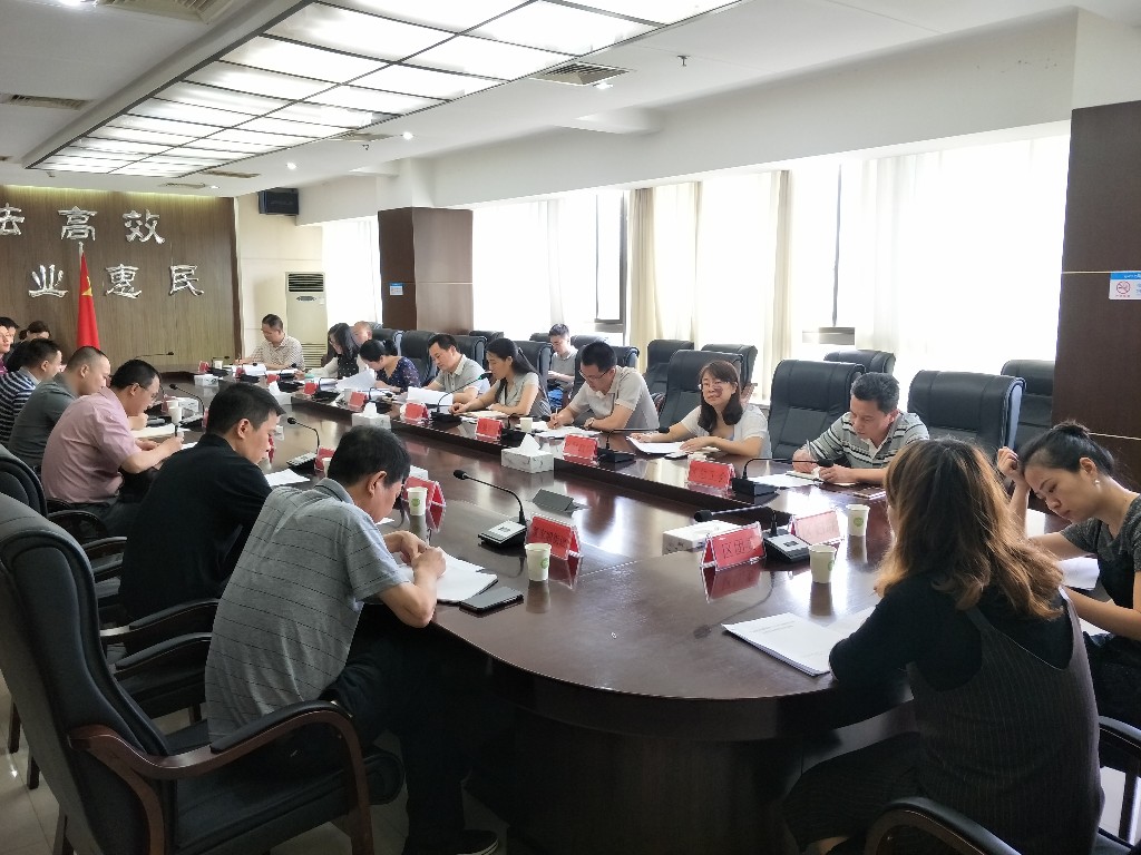 芦淞区召开创建国家公共文化服务体系示范区迎检推进会