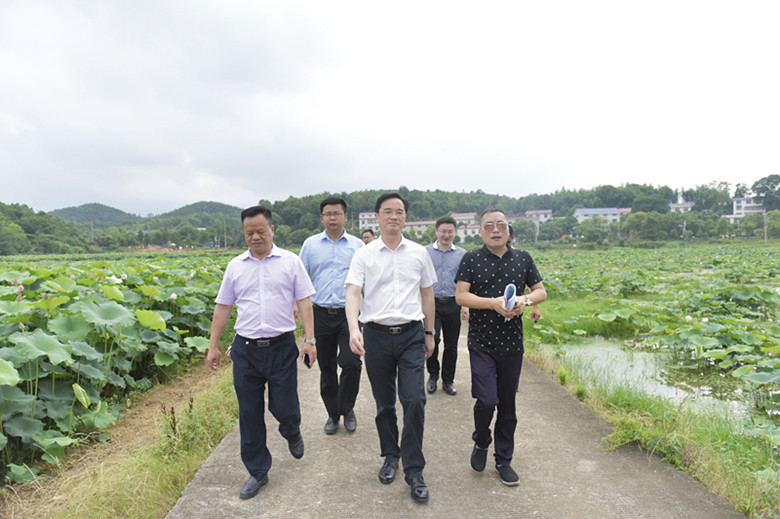 王利波现场调度2018年株洲市夏季乡村旅游节筹备工作