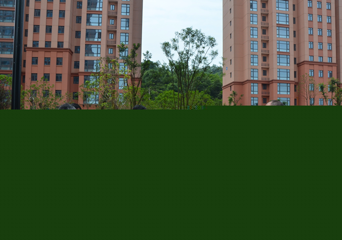 江西省吉安市吉州区政协一行来我区考察交流