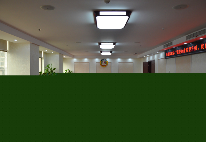 区政协召开促进企业转型升级,优化政府服务工作专题协商会议