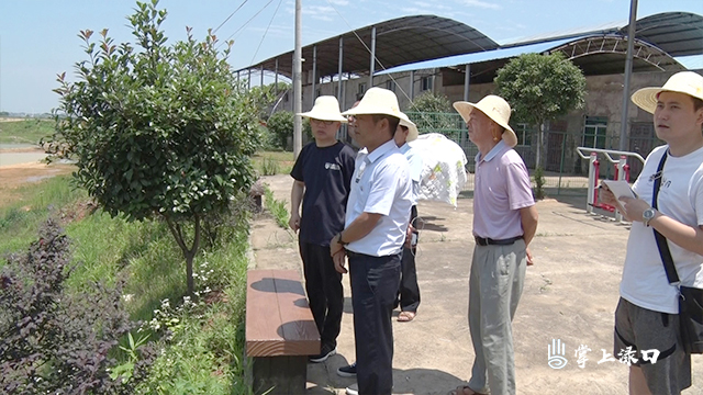 刘克胤到横江村调研美丽乡村建设工作