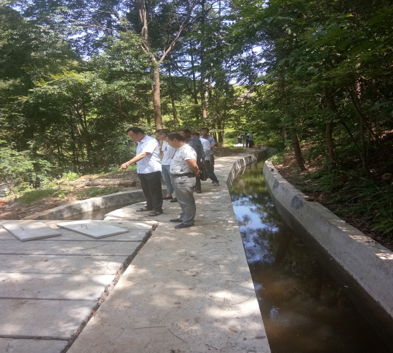 芦淞区2017年度中央财政农田水利项目县建设顺利通过验收
