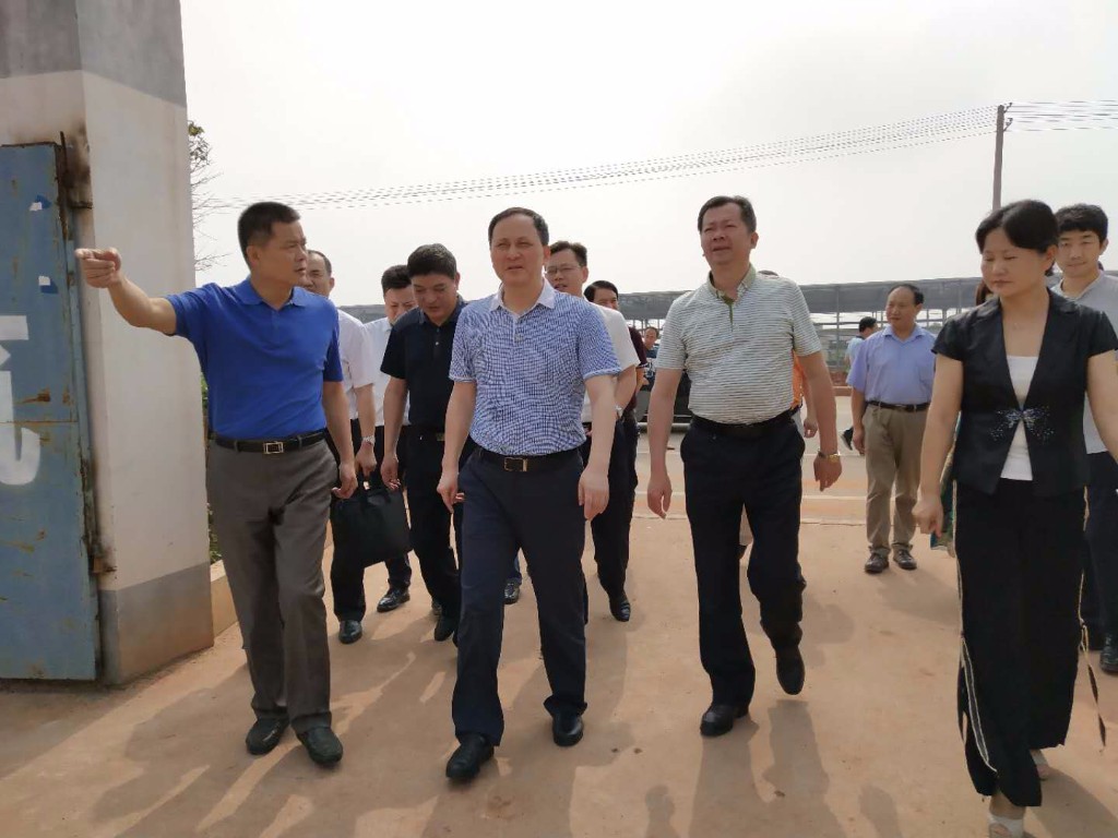 副市长顾峰来攸调研农业产业化建设
