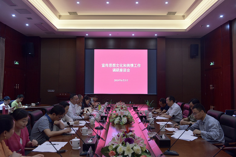 市委常委、宣传部长聂方红来我区调研宣传思想文化和舆情工作