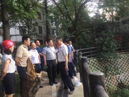 市设施配套组督查芦淞区设施配套项目建设情况