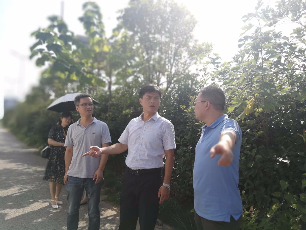 周天浩副区长走访杜甫草堂建设项目