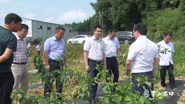 武挪强到朱亭镇调研农业产业项目建设 督查环保工作情况
