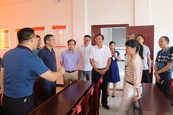 全市基层党建“看学议”活动走进攸县