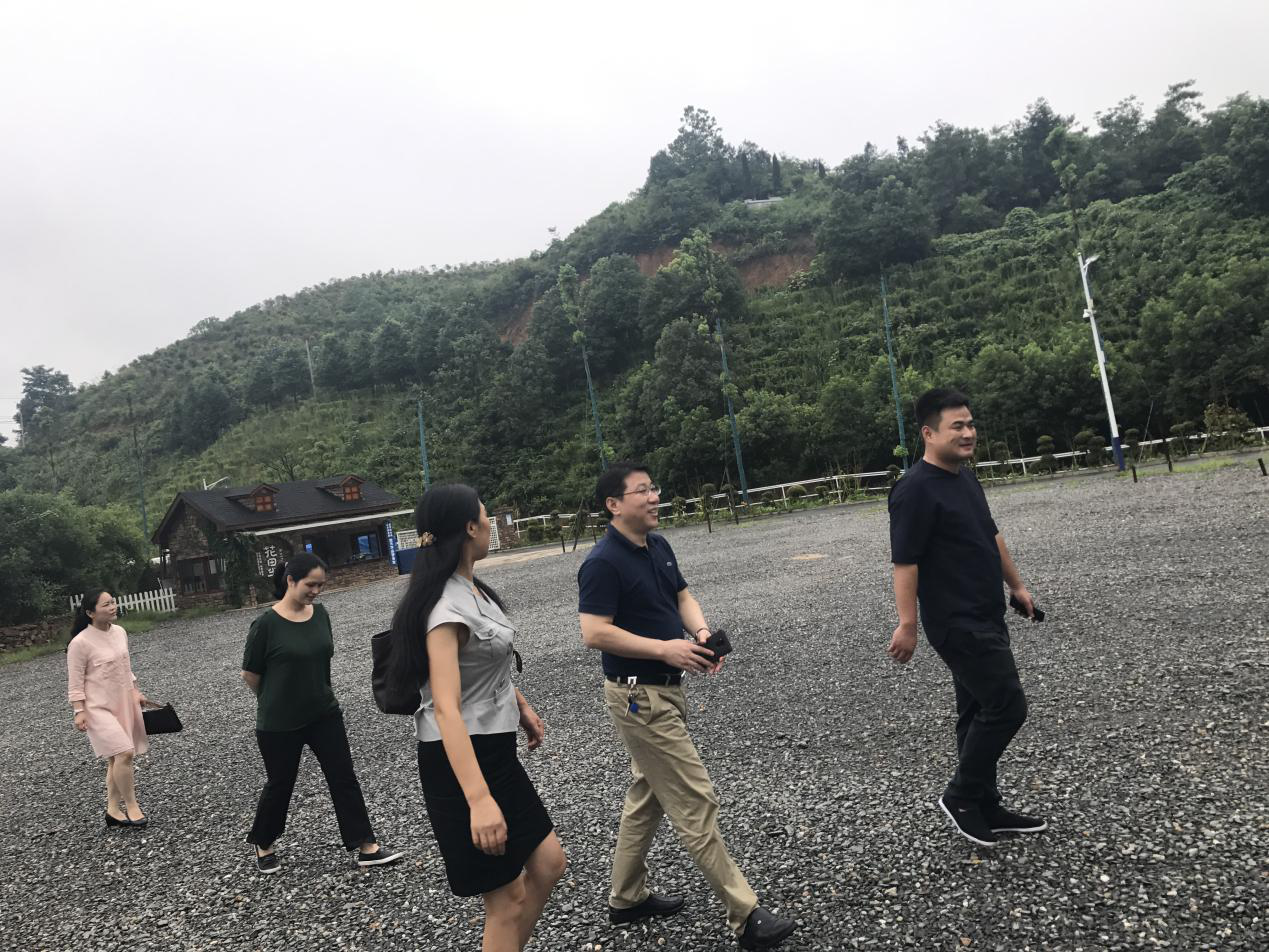 市旅游局调研我区“小升规”工作