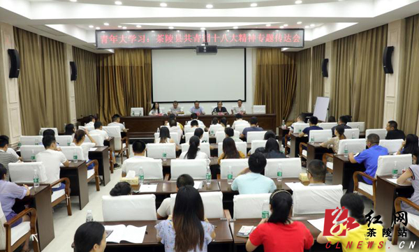 青年大学习：团县委传达共青团十八大精神