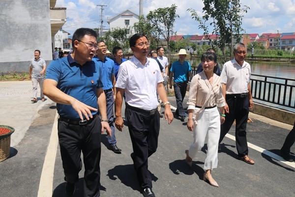 全市基层党建“看学议”活动走进攸县