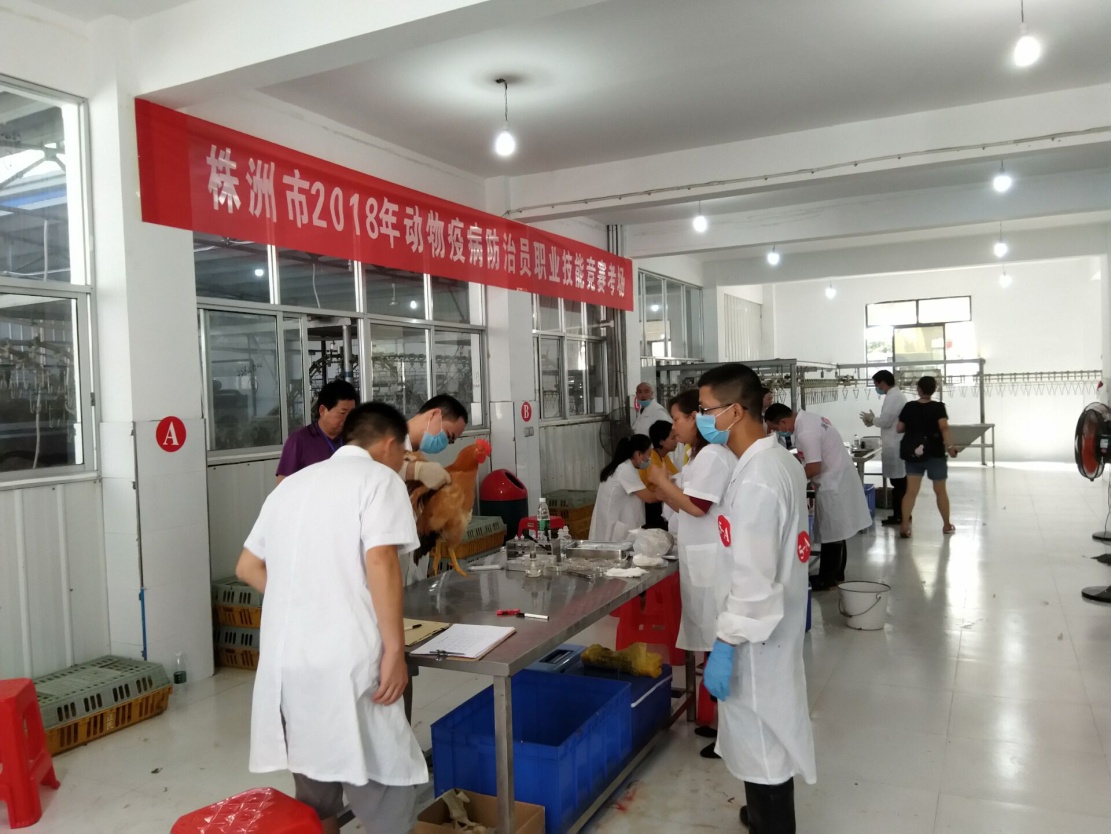 芦淞区动物疫病防治员、动物检疫检验员在全市2018年职业技能竞赛中获得佳绩