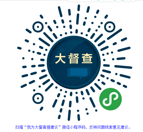我为国务院大督查提建议