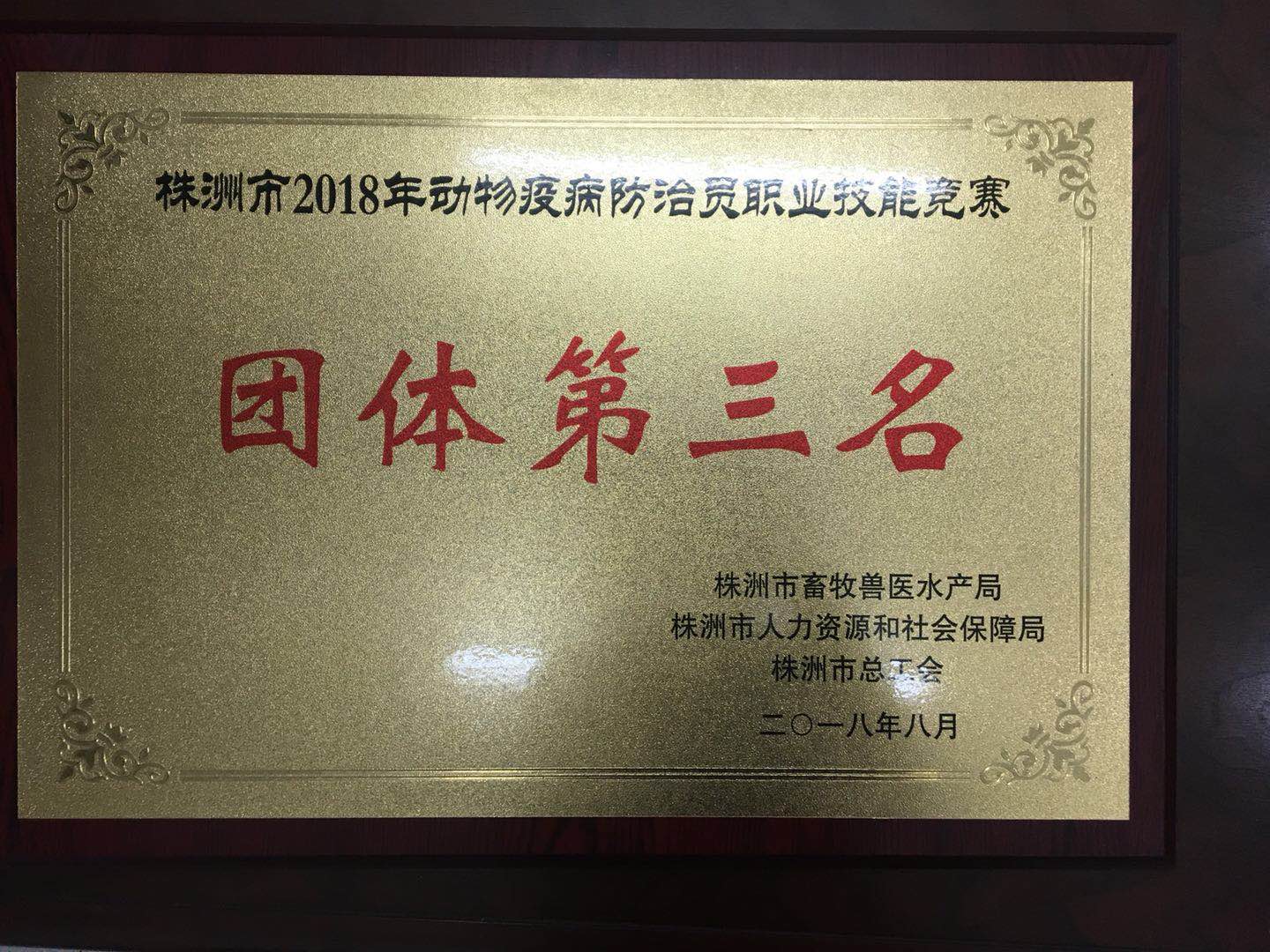 芦淞区动物疫病防治员、动物检疫检验员在全市2018年职业技能竞赛中获得佳绩