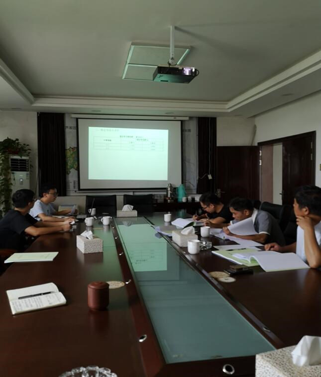 区城建局组织召开龙泉村塘头组不稳定斜坡治理工程的方案评审会